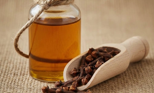 Clove Bud Oil